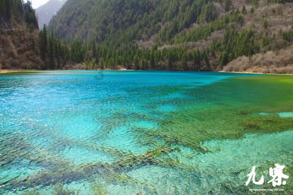 新华社快讯:巴西西部北京时间21日5时31分发生6.5级地震