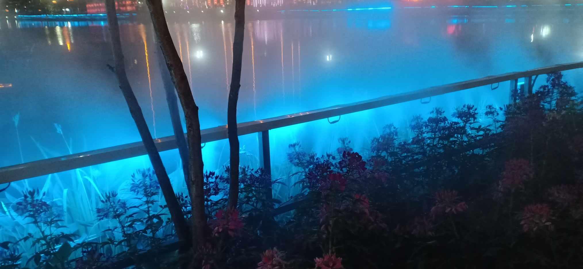 逃出无人荒岛
